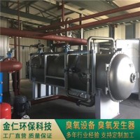 大型臭氧設(shè)備 金仁環(huán)保科技 臭氧發(fā)生器廠家