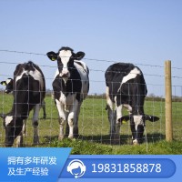 草原圍網
