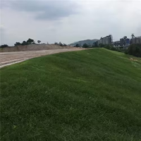 抗沖生物毯植生毯生態毯三維抗侵蝕防護毯加筋防沖毯植物纖維毯