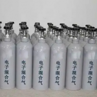 工業(yè)氣體價(jià)格河北氮?dú)馓胤N混合氣體集各種高純氣高純氣體經(jīng)銷廠家