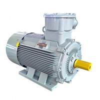 YBX4粉塵防爆電機(jī)-二級(jí)能效