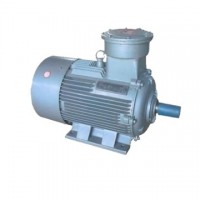 稀土永磁無鐵芯電機